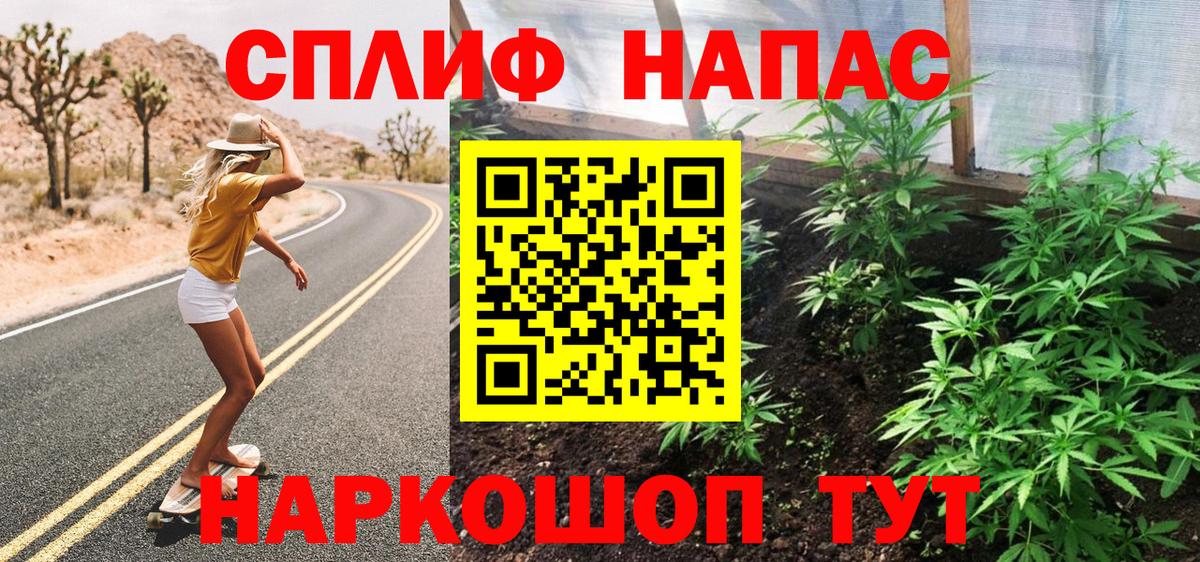 Бошки Шишки тримм  Вход с VPN  Минеральные Воды  Бошки марихуана THC 21%  Шишки марихуана семена 